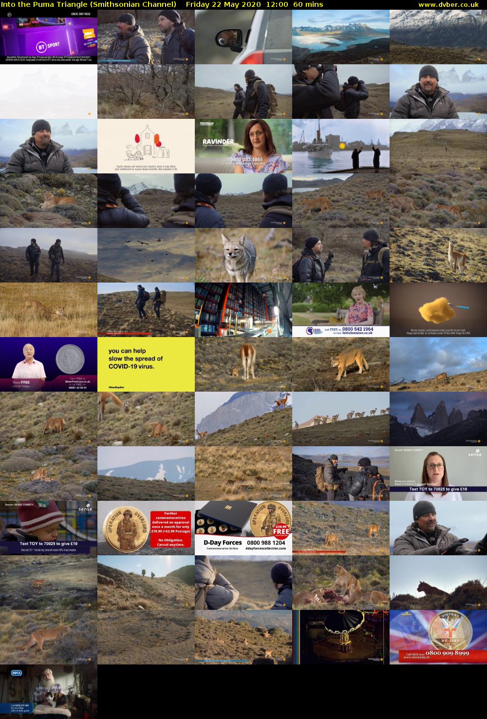 Into the Puma Triangle (Smithsonian Channel) Friday 22 May 2020 12:00 - 13:00