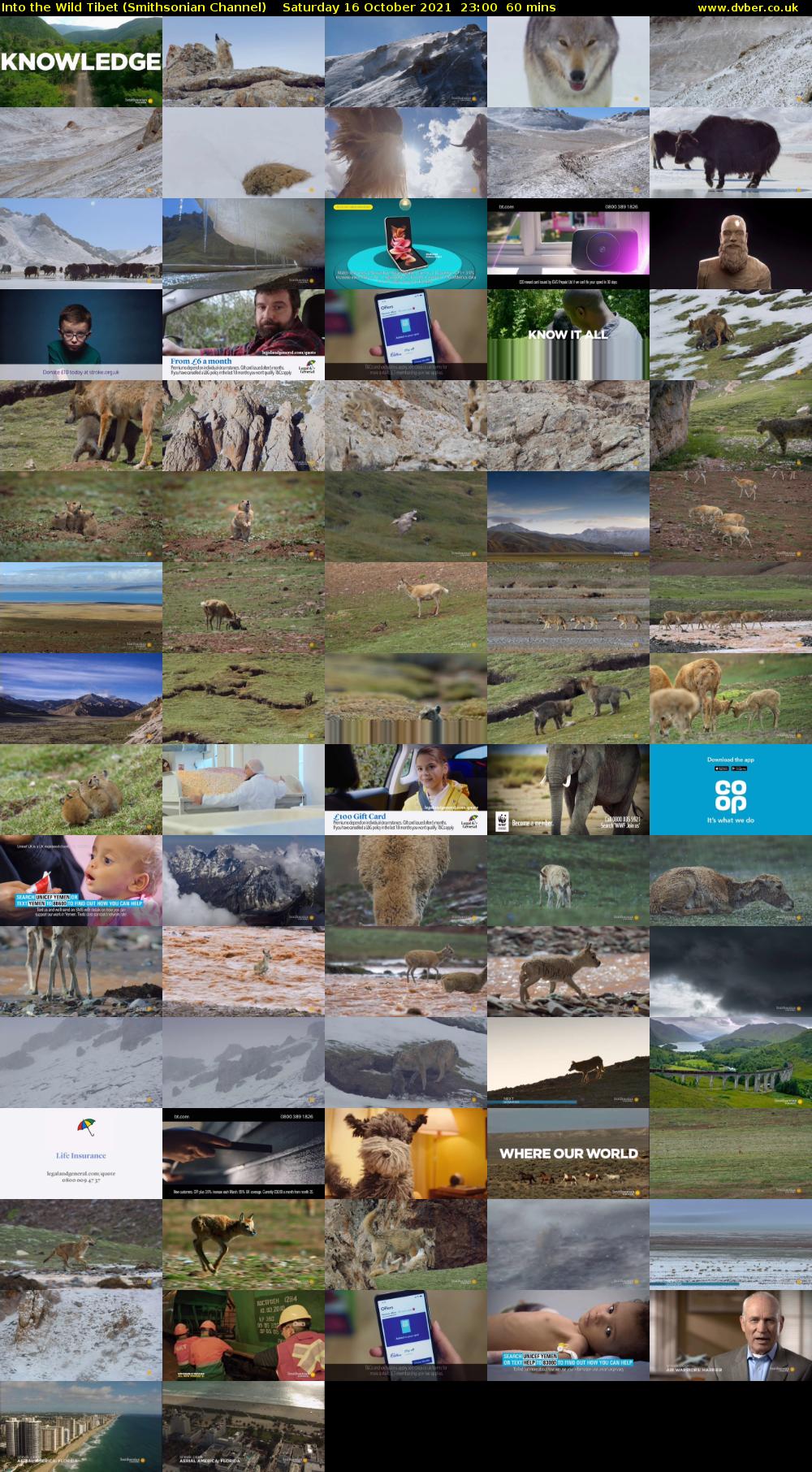 Into the Wild Tibet (Smithsonian Channel) Saturday 16 October 2021 23:00 - 00:00