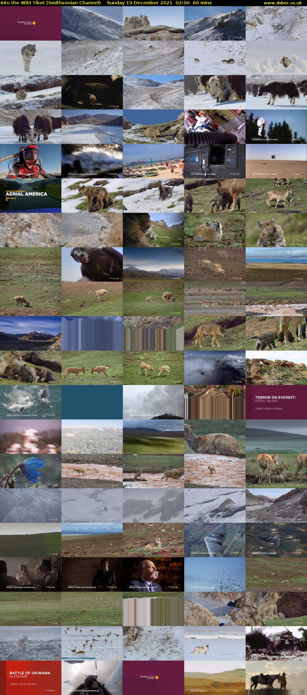 Into the Wild Tibet (Smithsonian Channel) Sunday 19 December 2021 02:00 - 03:00