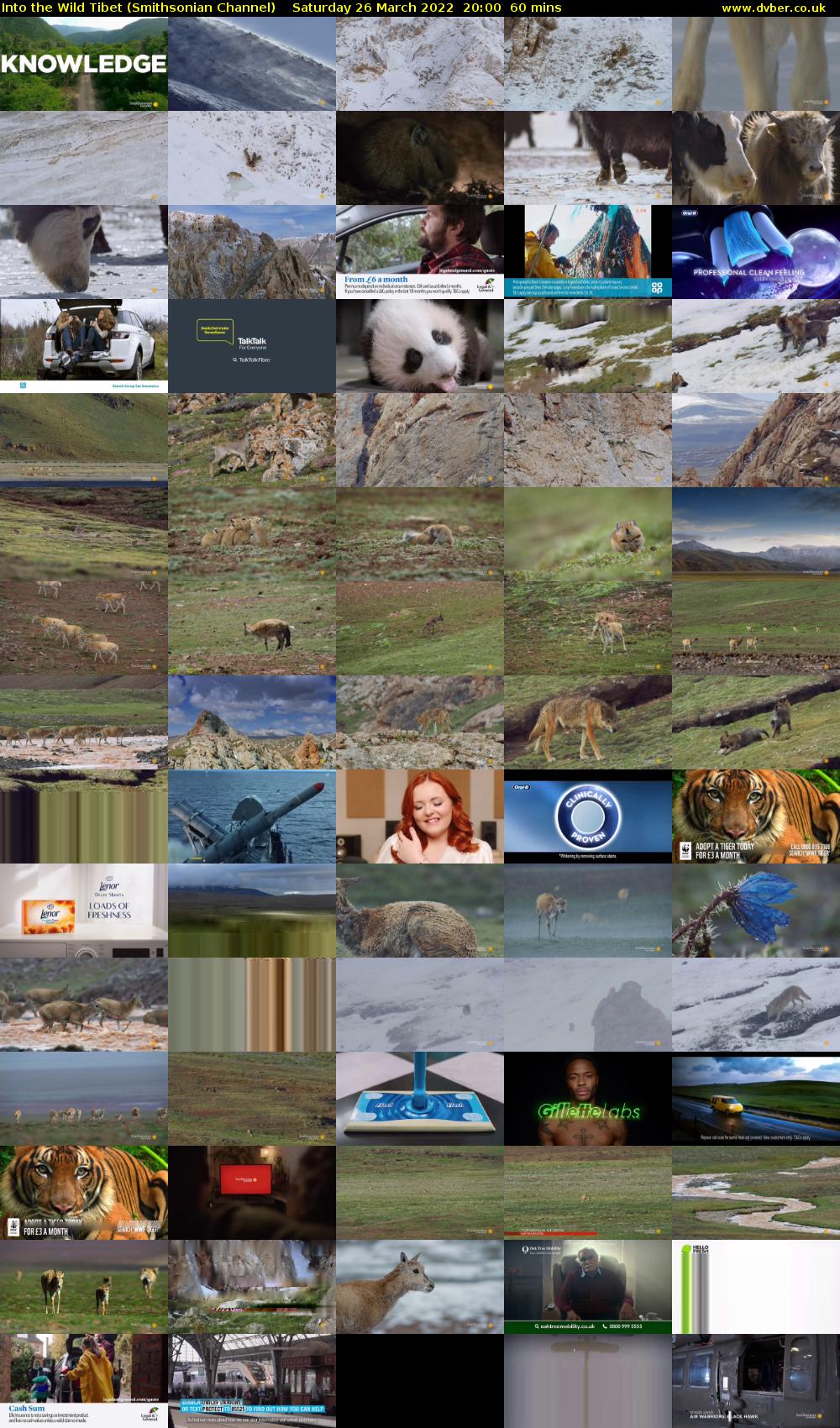 Into the Wild Tibet (Smithsonian Channel) Saturday 26 March 2022 20:00 - 21:00