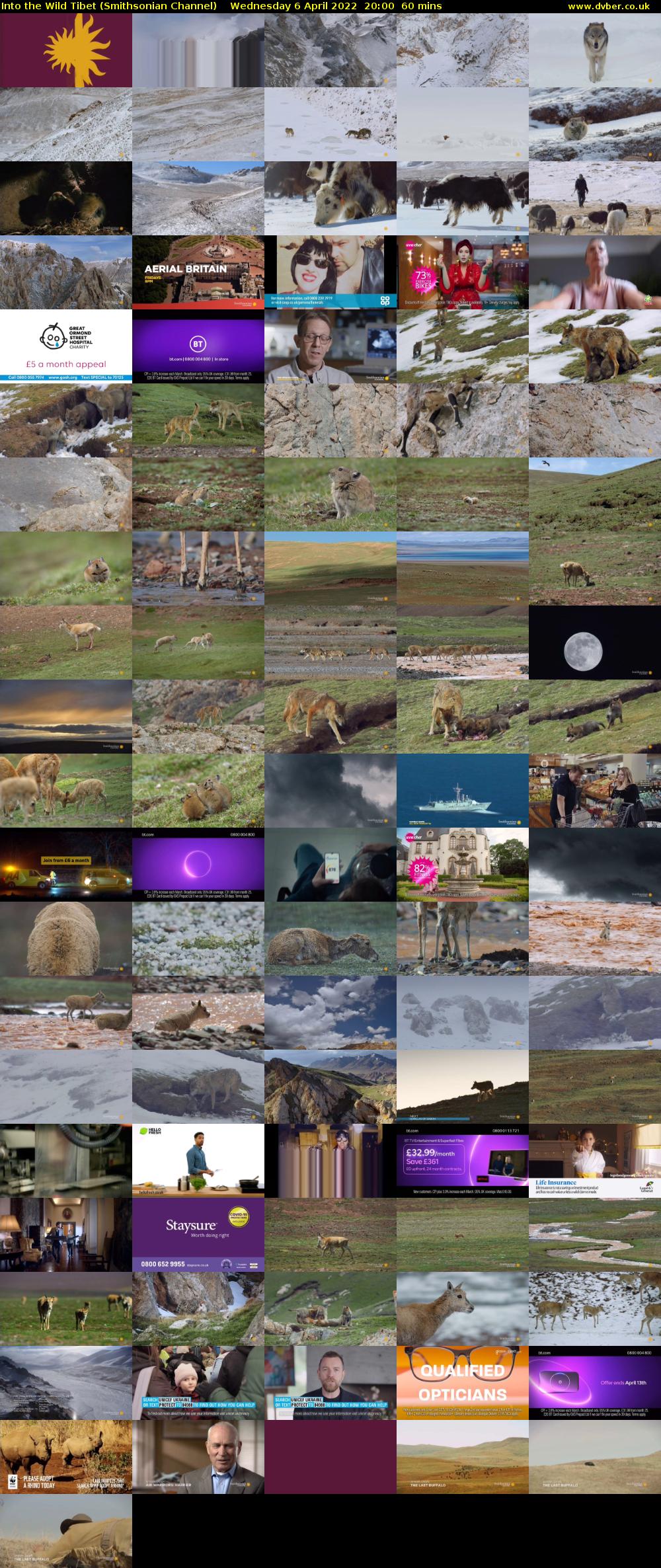 Into the Wild Tibet (Smithsonian Channel) Wednesday 6 April 2022 20:00 - 21:00