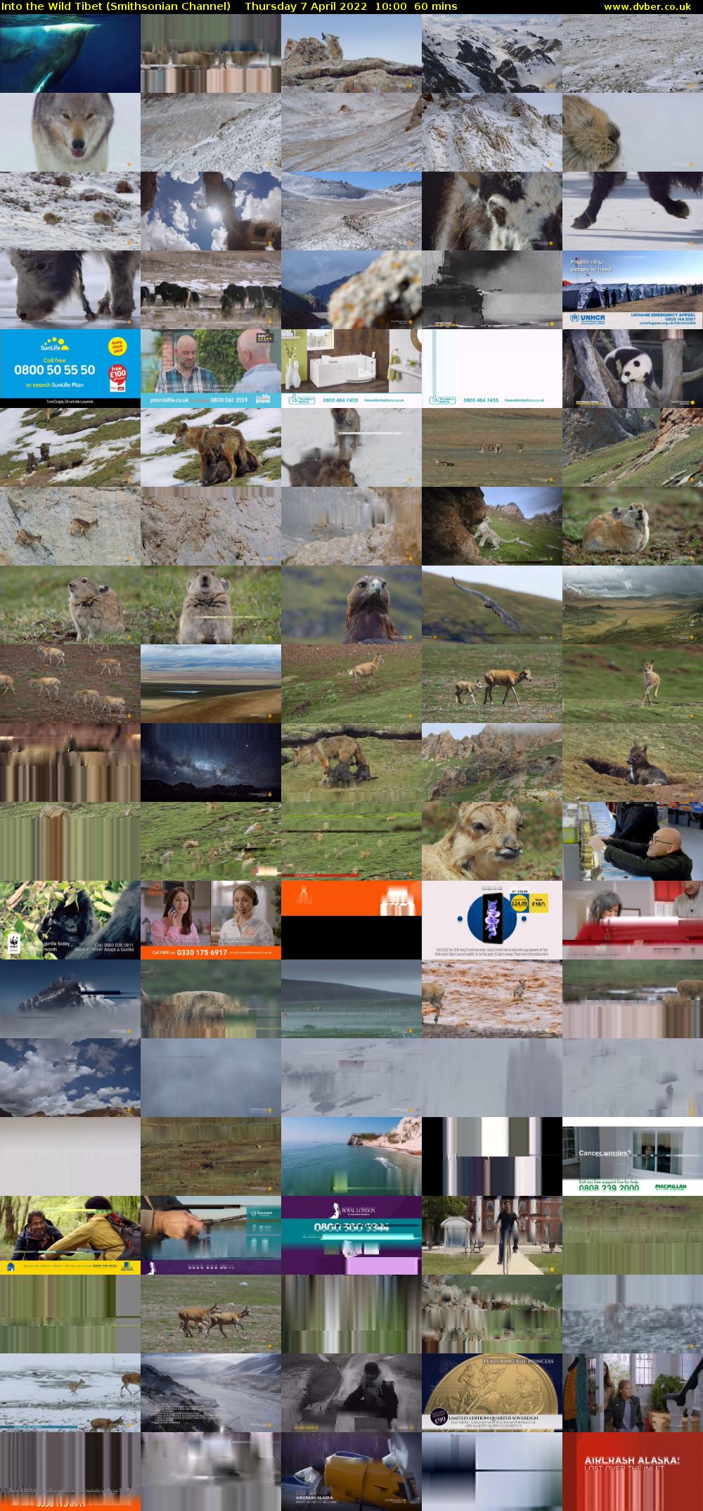Into the Wild Tibet (Smithsonian Channel) Thursday 7 April 2022 10:00 - 11:00