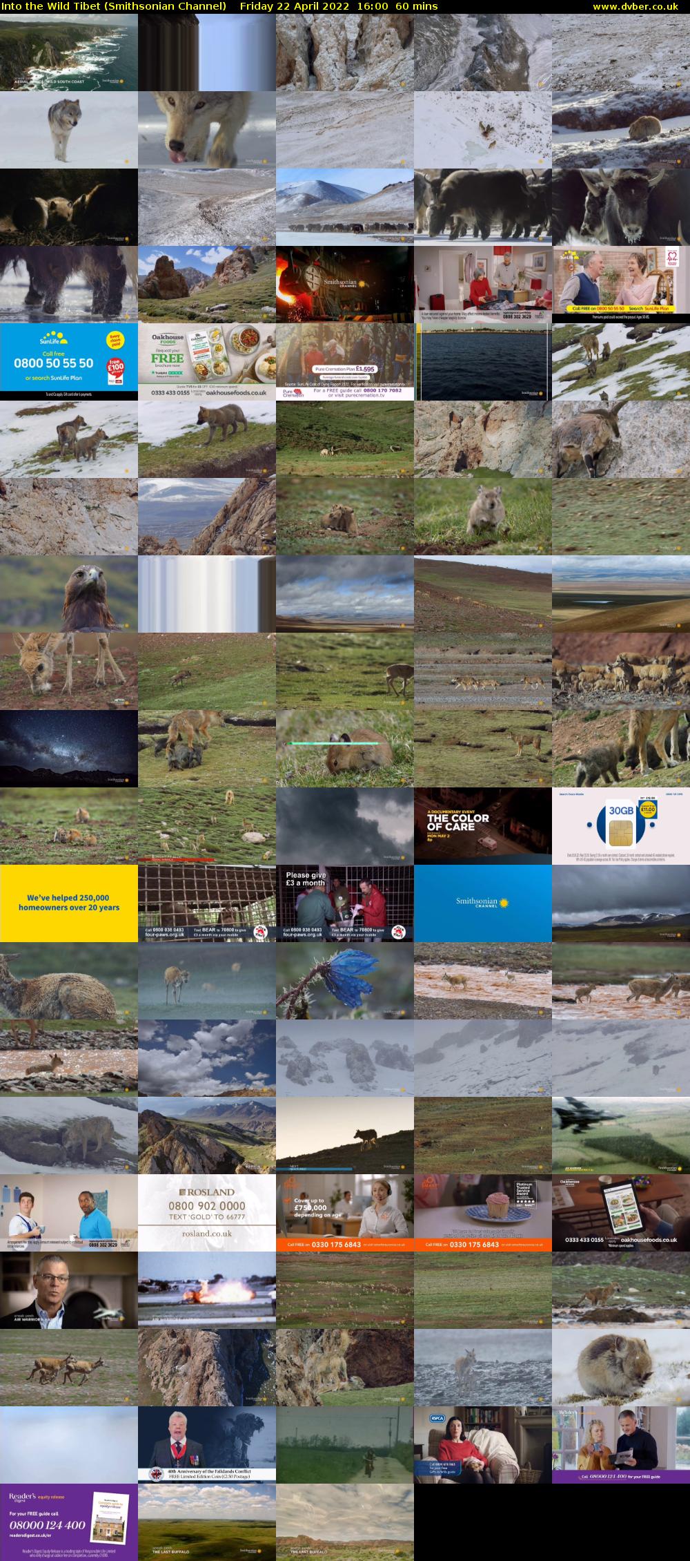Into the Wild Tibet (Smithsonian Channel) Friday 22 April 2022 16:00 - 17:00