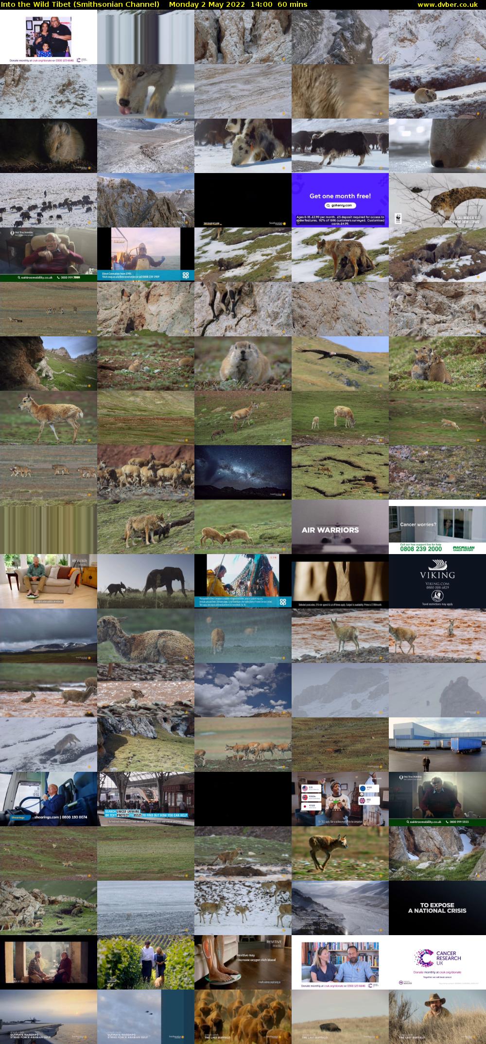 Into the Wild Tibet (Smithsonian Channel) Monday 2 May 2022 14:00 - 15:00