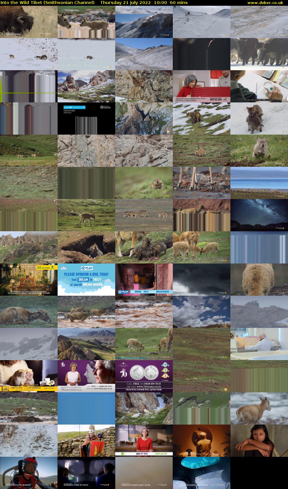 Into the Wild Tibet (Smithsonian Channel) Thursday 21 July 2022 10:00 - 11:00