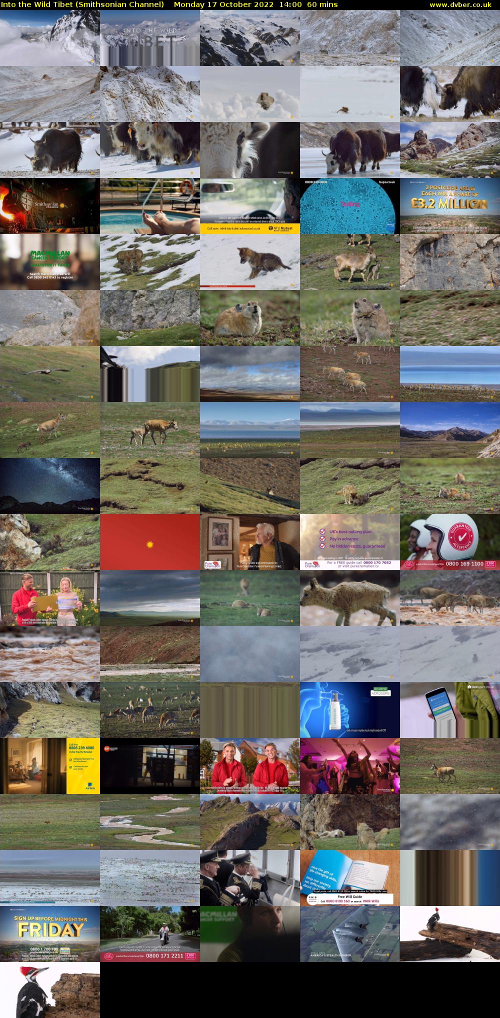 Into the Wild Tibet (Smithsonian Channel) Monday 17 October 2022 14:00 - 15:00