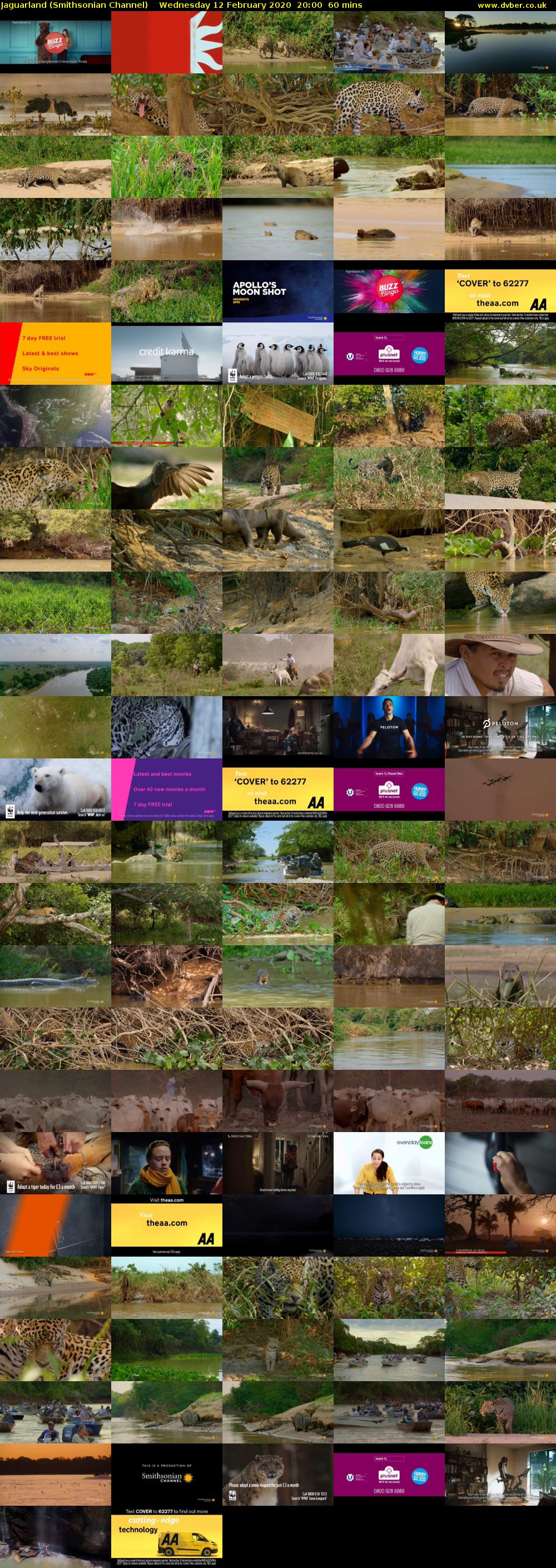 Jaguarland (Smithsonian Channel) Wednesday 12 February 2020 20:00 - 21:00