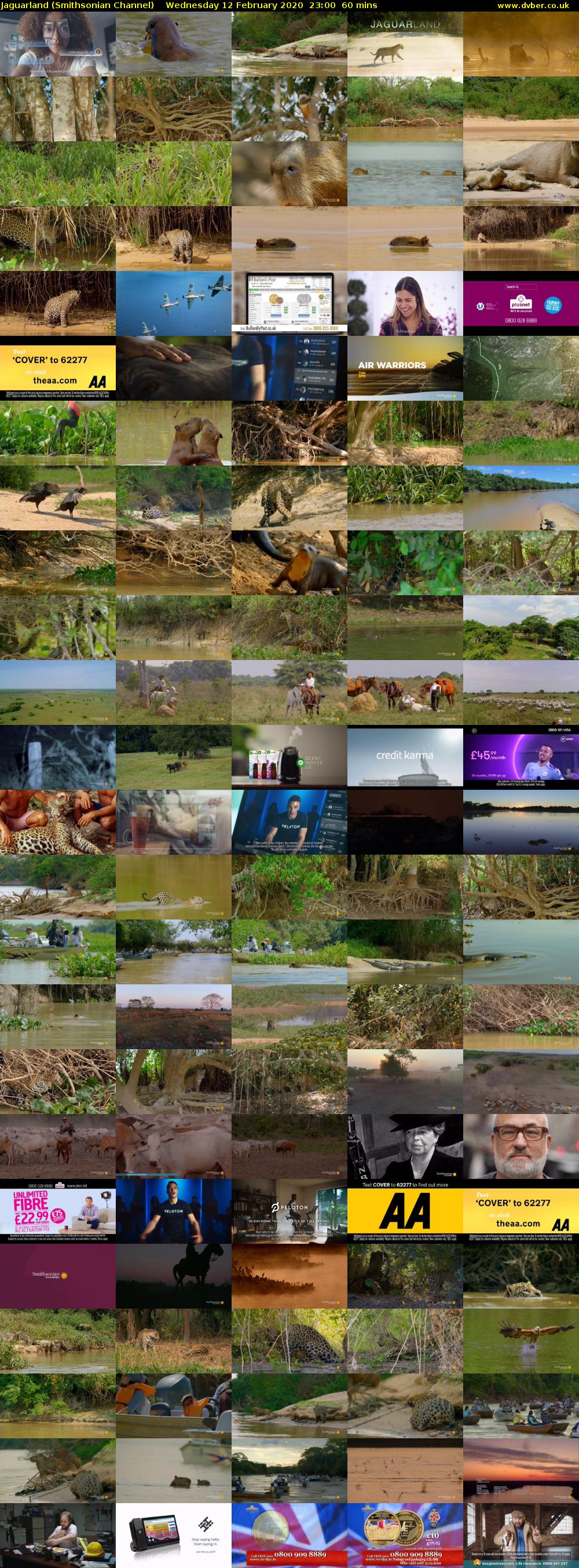 Jaguarland (Smithsonian Channel) Wednesday 12 February 2020 23:00 - 00:00