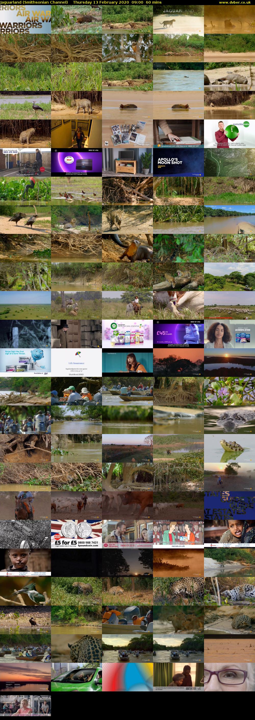 Jaguarland (Smithsonian Channel) Thursday 13 February 2020 09:00 - 10:00