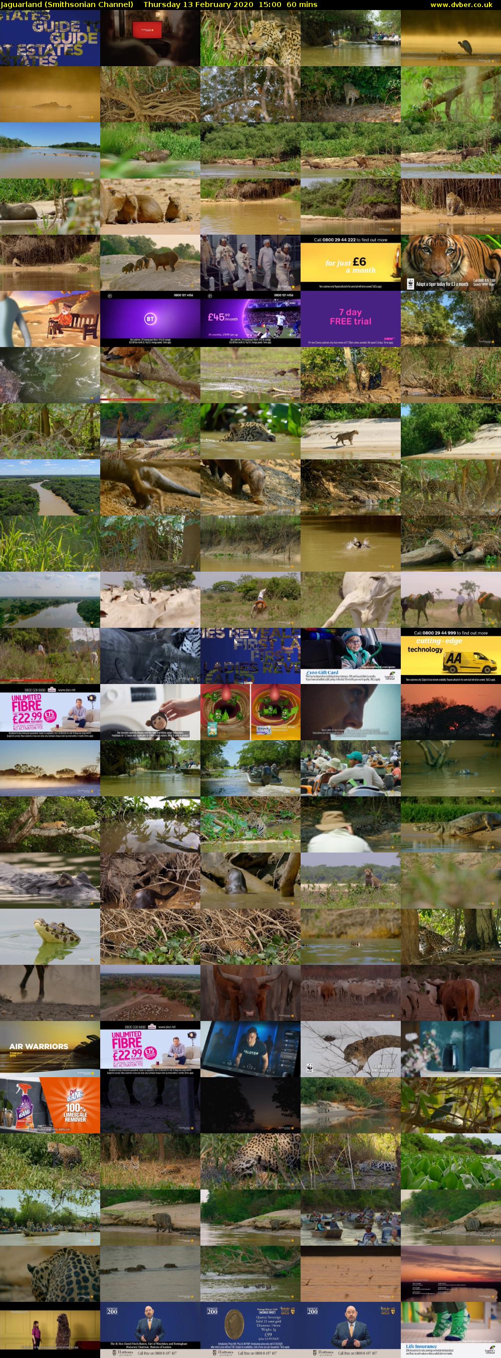 Jaguarland (Smithsonian Channel) Thursday 13 February 2020 15:00 - 16:00