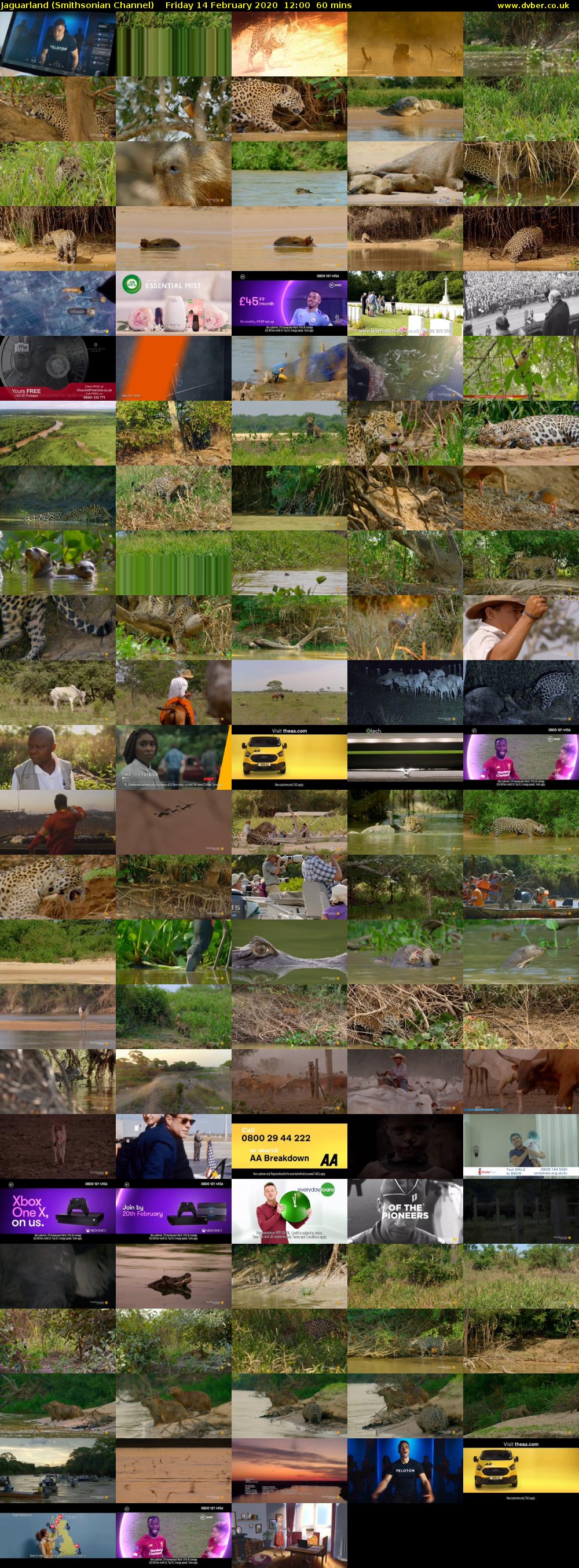 Jaguarland (Smithsonian Channel) Friday 14 February 2020 12:00 - 13:00