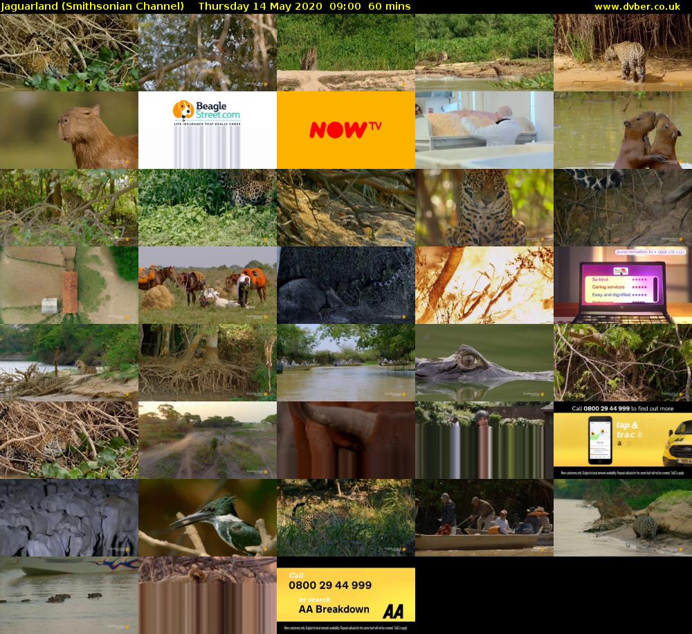 Jaguarland (Smithsonian Channel) Thursday 14 May 2020 09:00 - 10:00