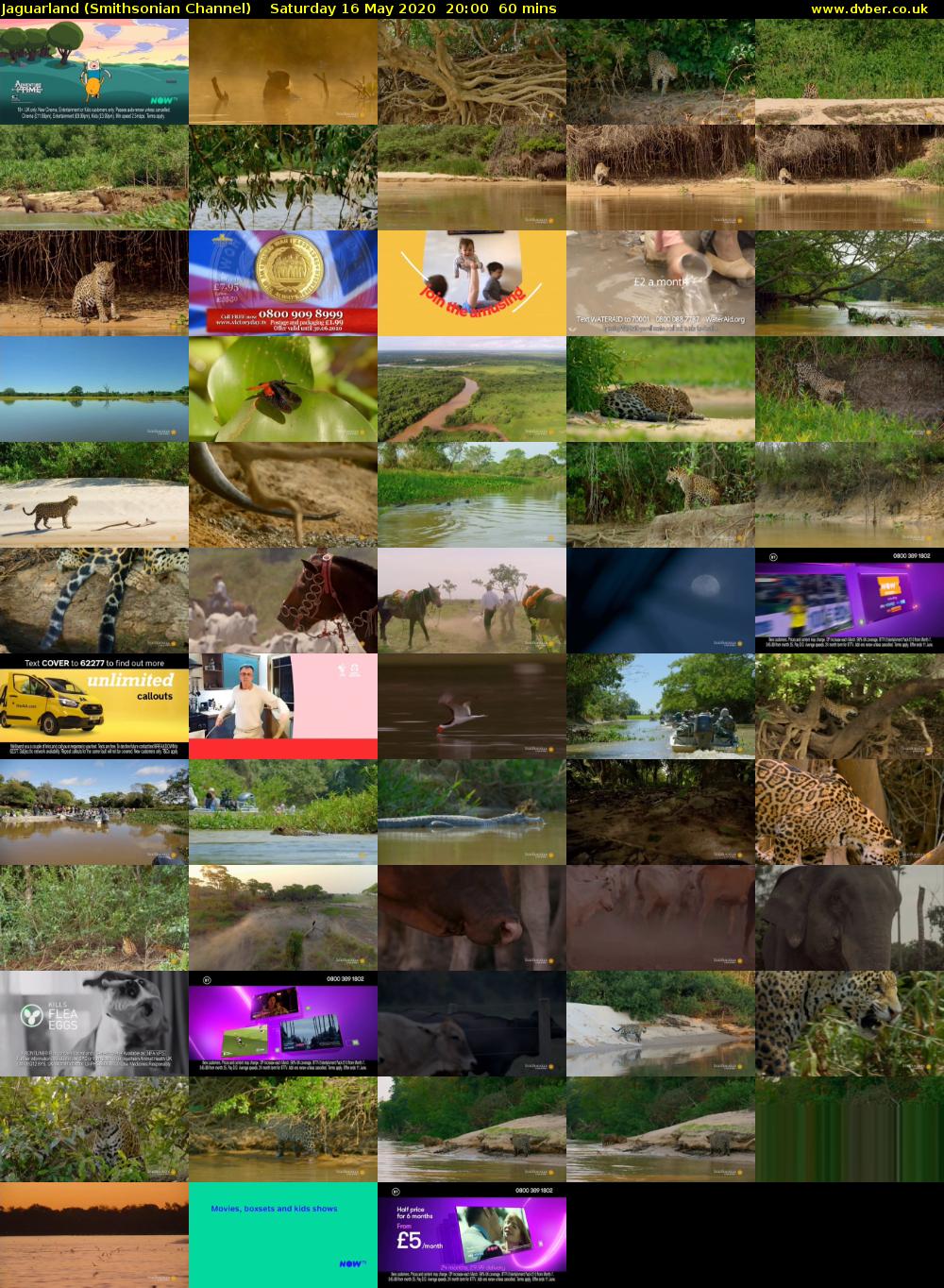 Jaguarland (Smithsonian Channel) Saturday 16 May 2020 20:00 - 21:00