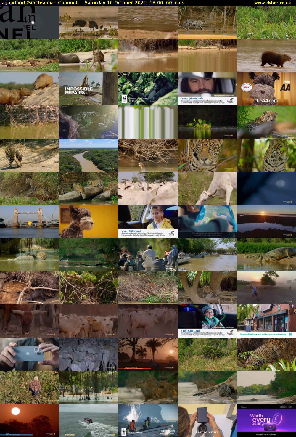 Jaguarland (Smithsonian Channel) Saturday 16 October 2021 18:00 - 19:00