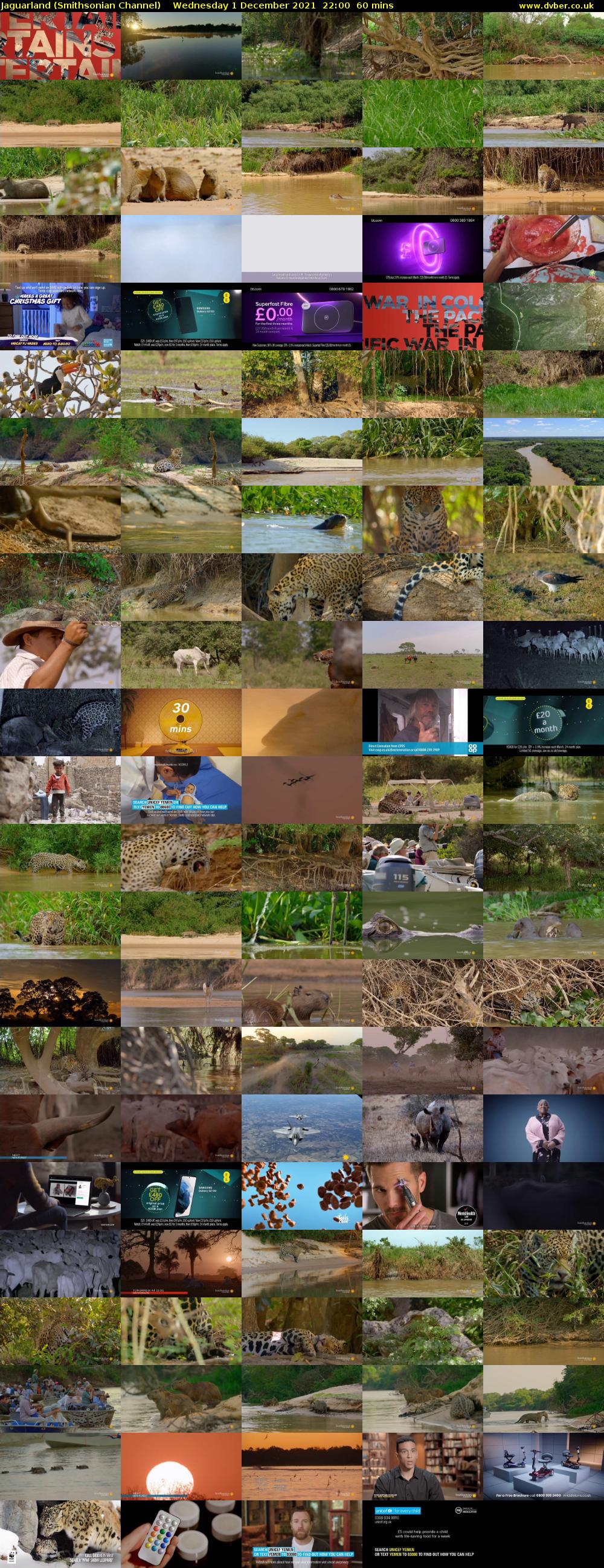 Jaguarland (Smithsonian Channel) Wednesday 1 December 2021 22:00 - 23:00