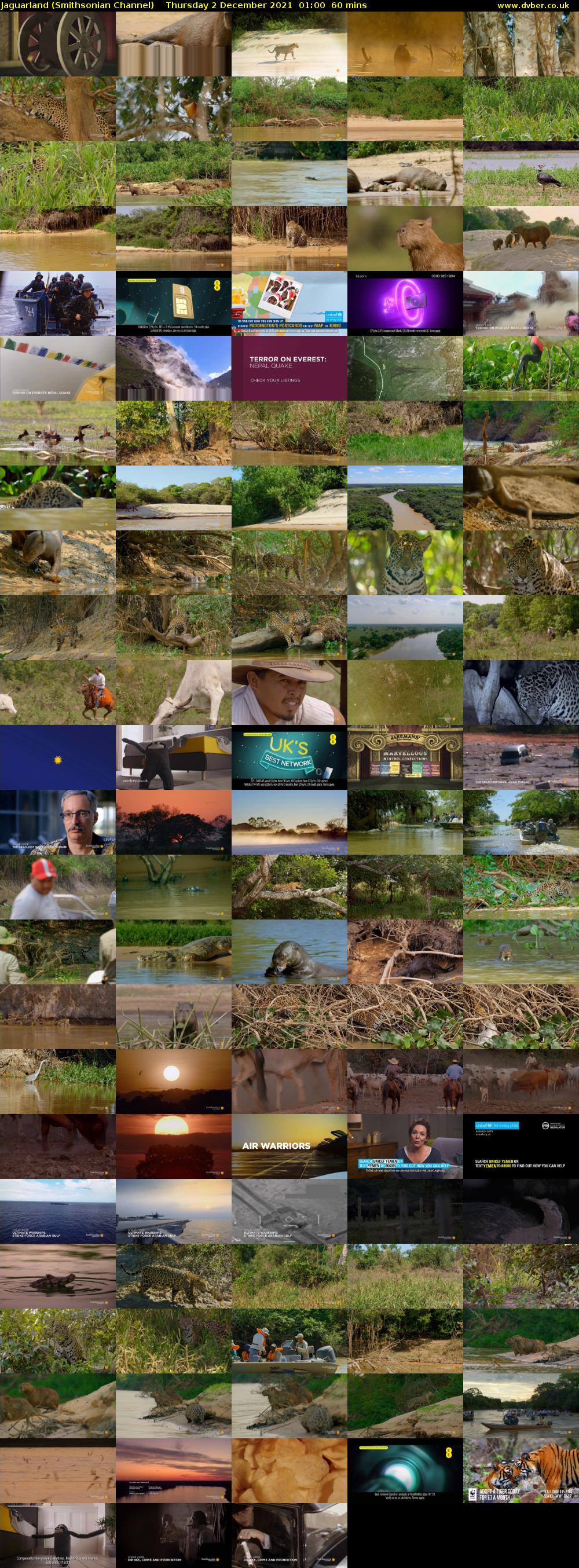Jaguarland (Smithsonian Channel) Thursday 2 December 2021 01:00 - 02:00