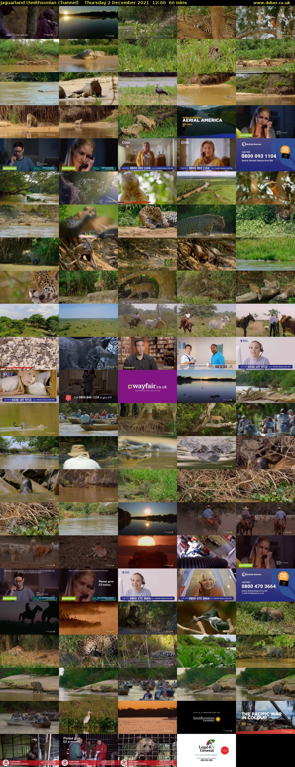Jaguarland (Smithsonian Channel) Thursday 2 December 2021 12:00 - 13:00