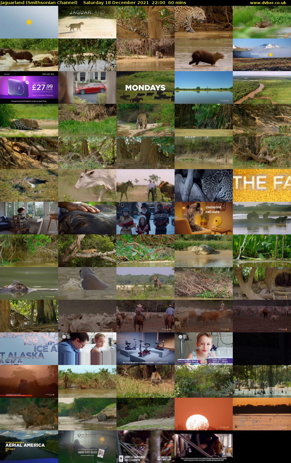 Jaguarland (Smithsonian Channel) Saturday 18 December 2021 22:00 - 23:00