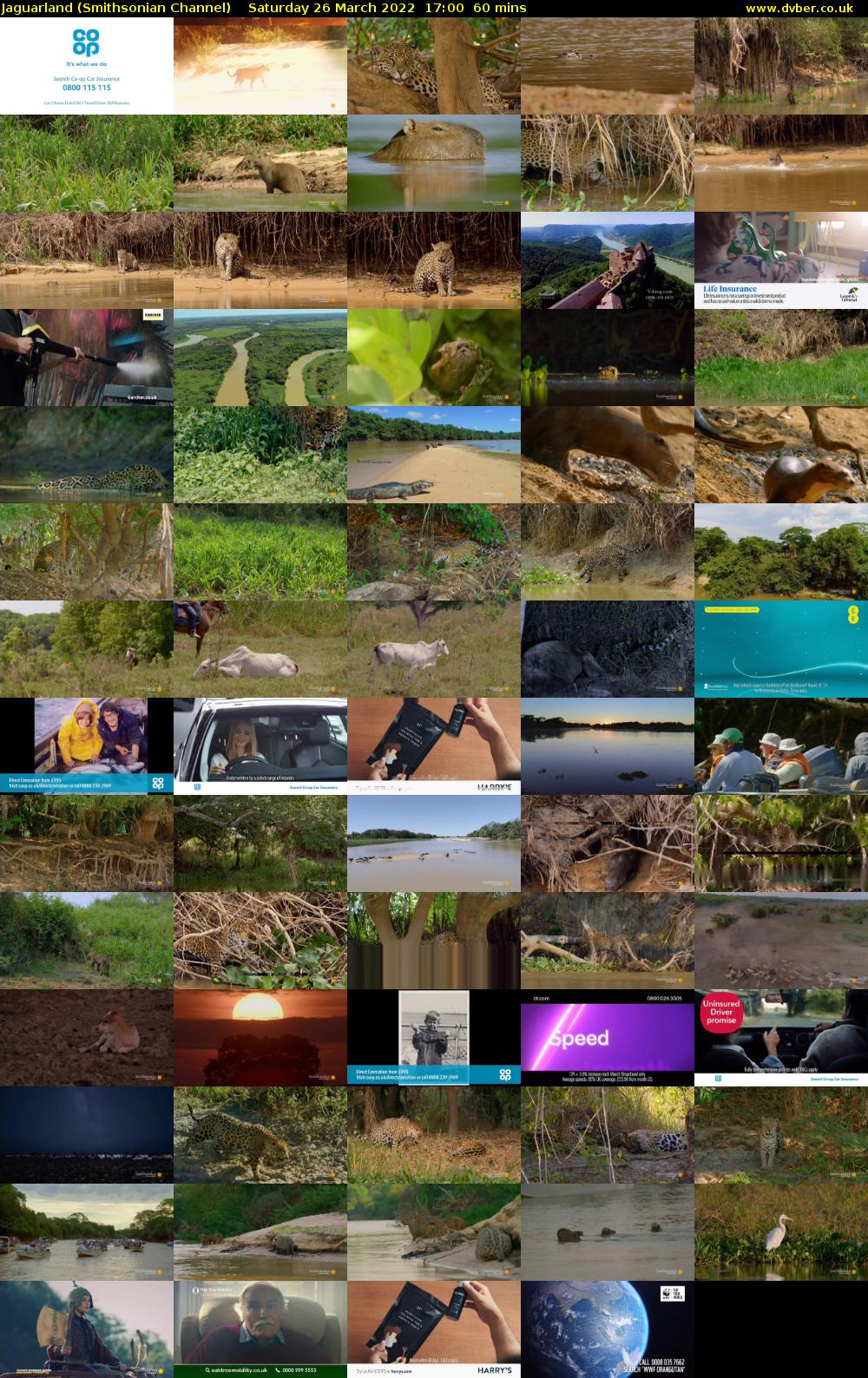 Jaguarland (Smithsonian Channel) Saturday 26 March 2022 17:00 - 18:00