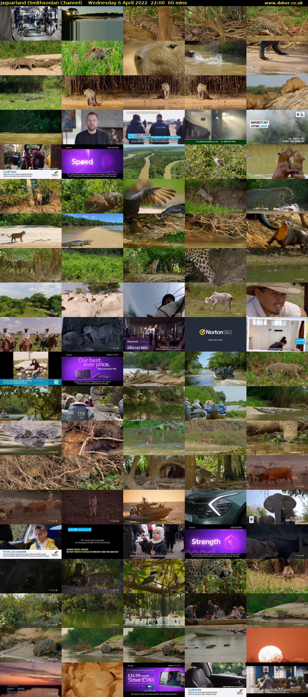 Jaguarland (Smithsonian Channel) Wednesday 6 April 2022 22:00 - 23:00