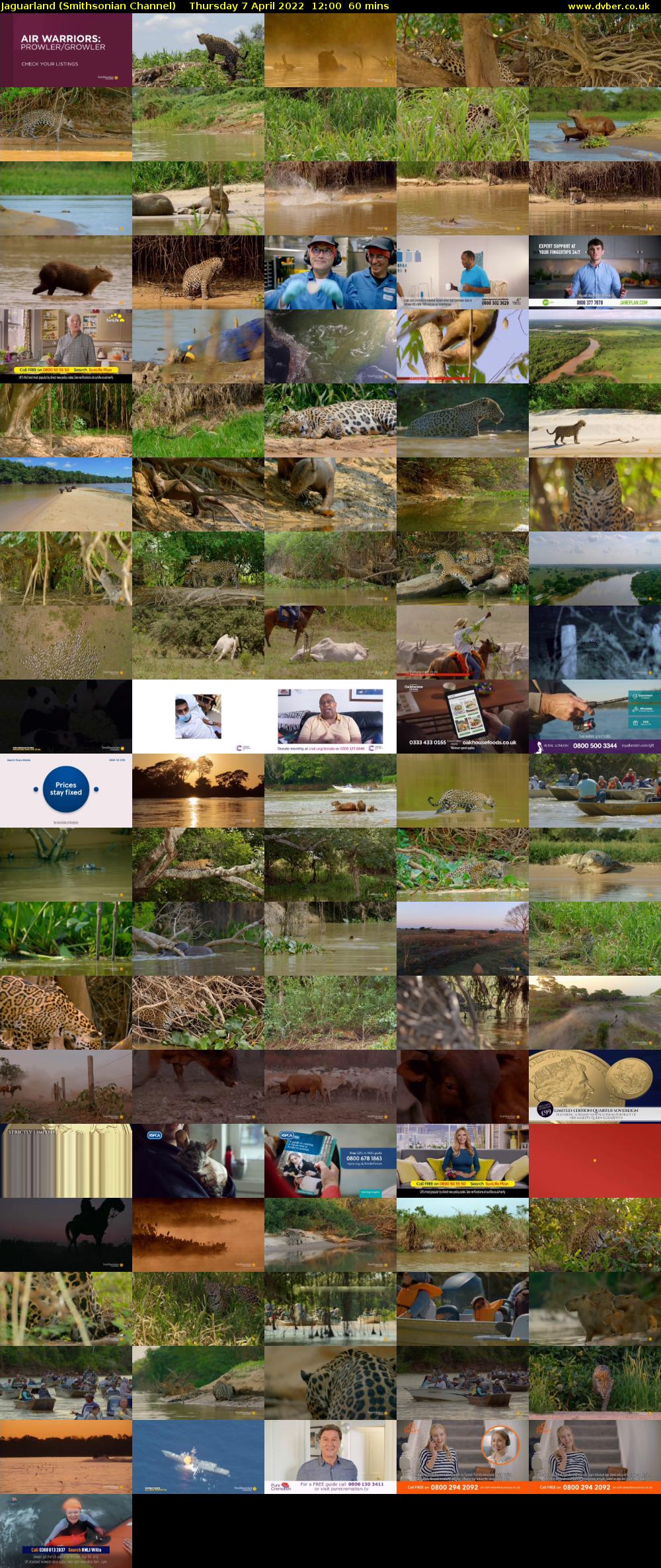 Jaguarland (Smithsonian Channel) Thursday 7 April 2022 12:00 - 13:00