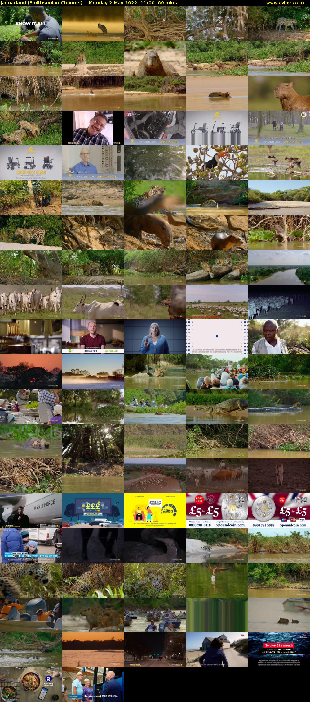 Jaguarland (Smithsonian Channel) Monday 2 May 2022 11:00 - 12:00