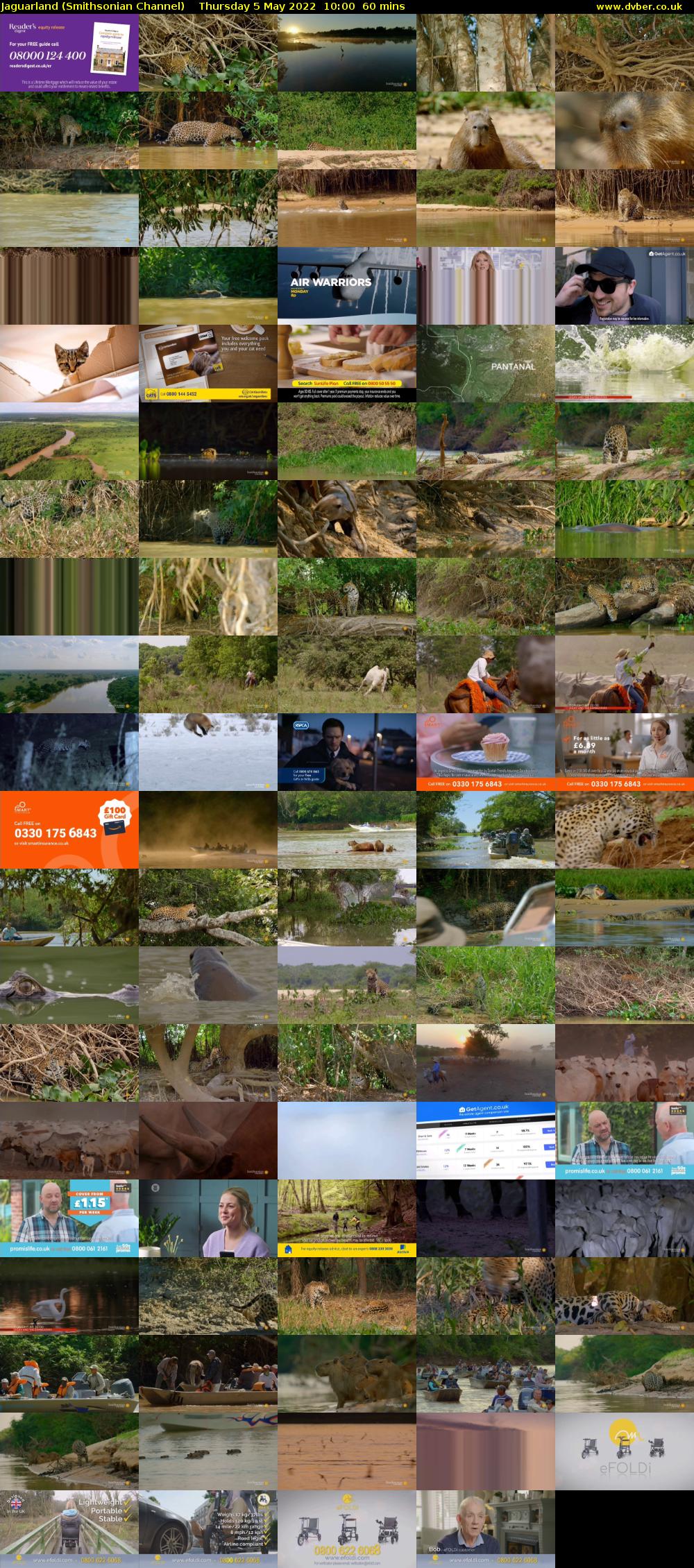 Jaguarland (Smithsonian Channel) Thursday 5 May 2022 10:00 - 11:00