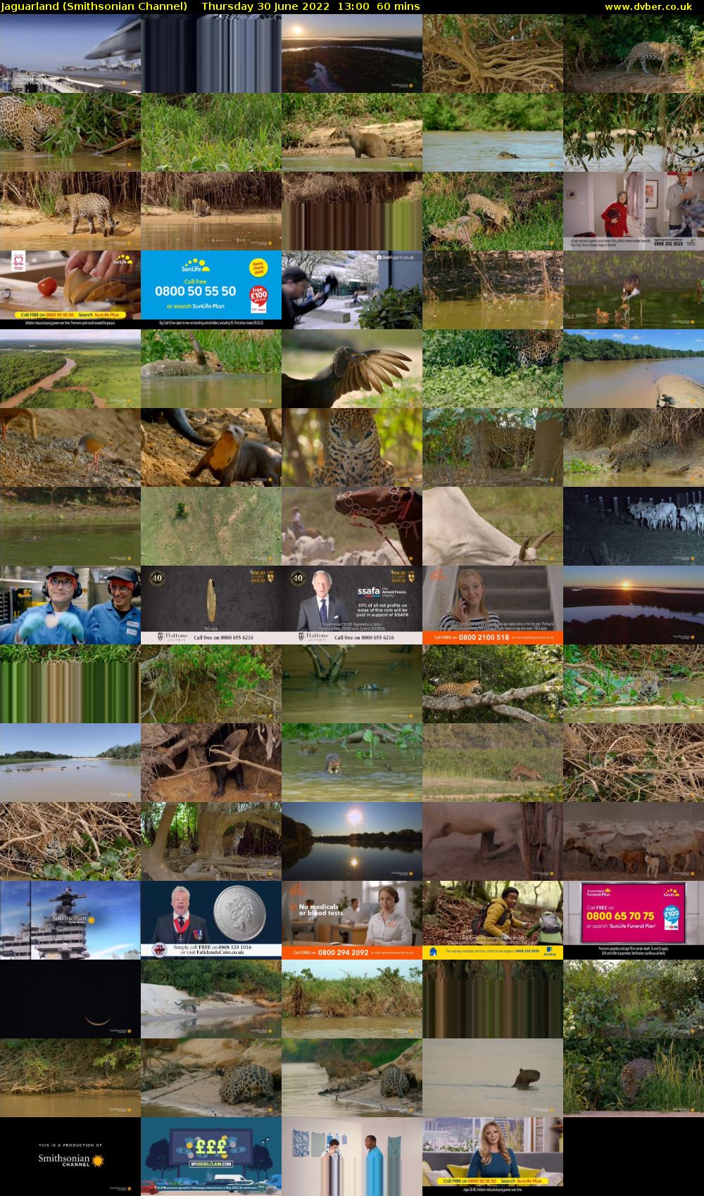 Jaguarland (Smithsonian Channel) Thursday 30 June 2022 13:00 - 14:00