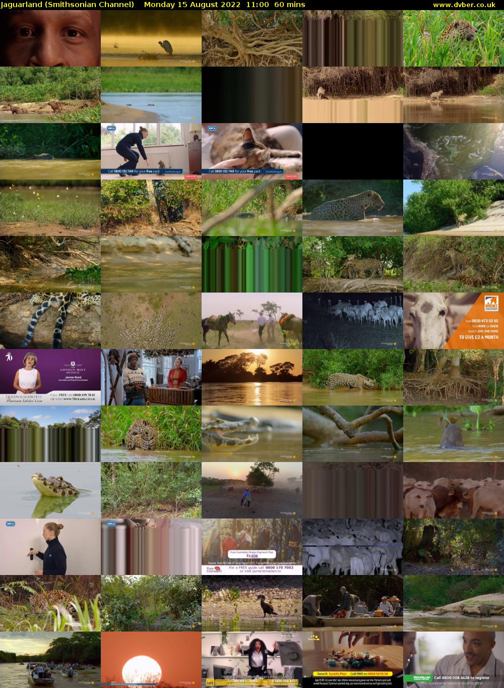 Jaguarland (Smithsonian Channel) Monday 15 August 2022 11:00 - 12:00