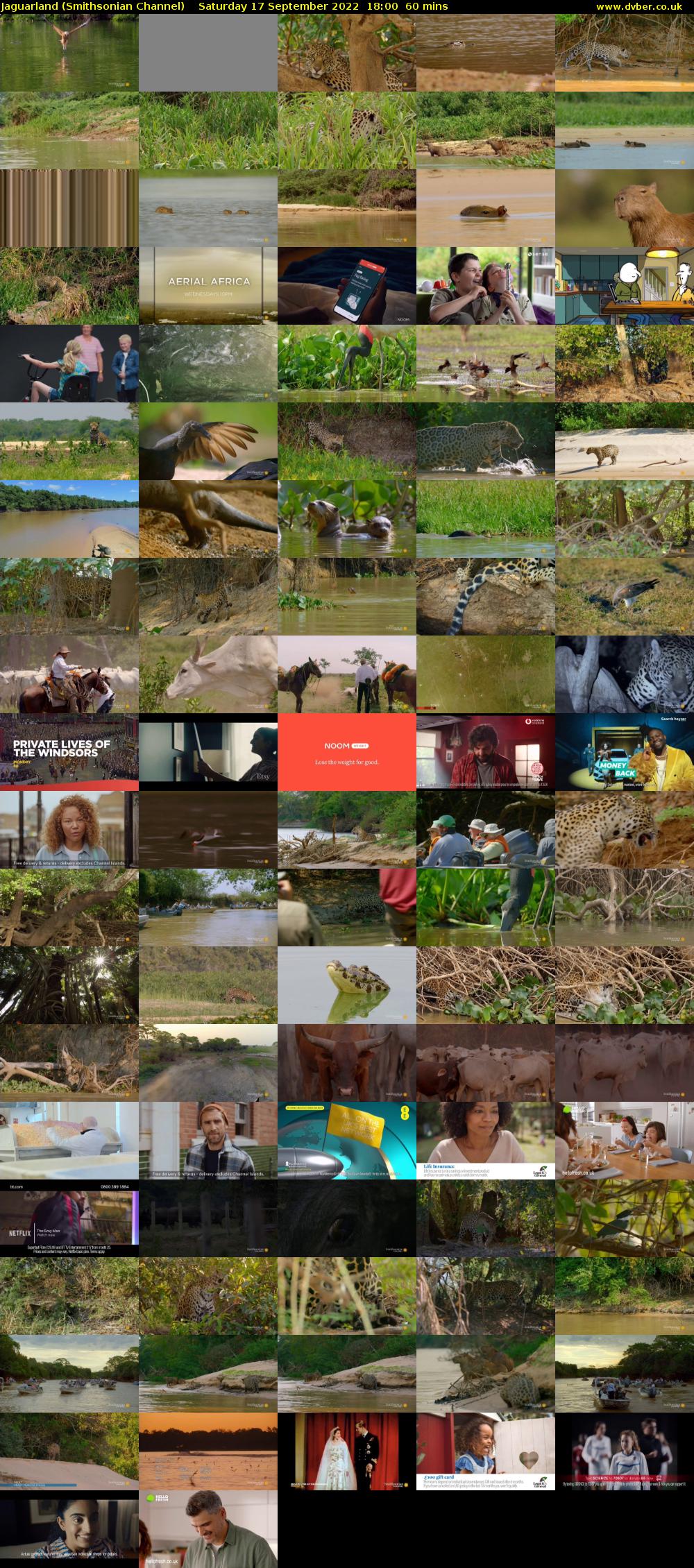 Jaguarland (Smithsonian Channel) Saturday 17 September 2022 18:00 - 19:00