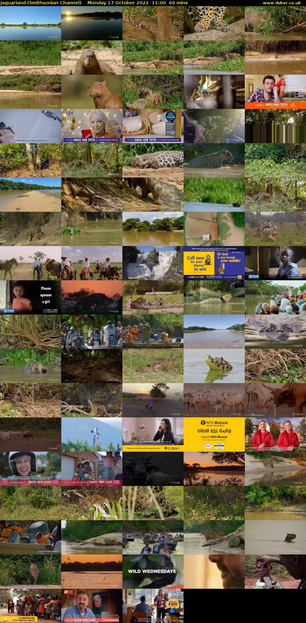 Jaguarland (Smithsonian Channel) Monday 17 October 2022 11:00 - 12:00