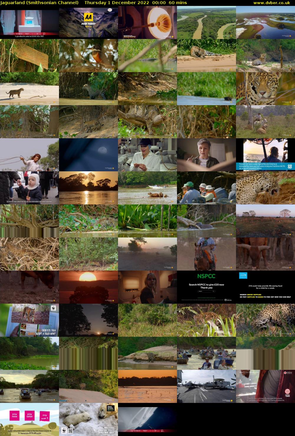 Jaguarland (Smithsonian Channel) Thursday 1 December 2022 00:00 - 01:00
