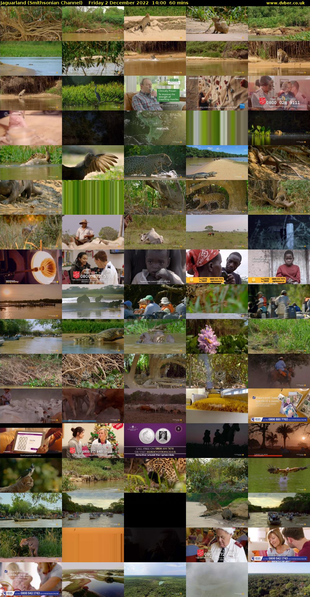 Jaguarland (Smithsonian Channel) Friday 2 December 2022 14:00 - 15:00