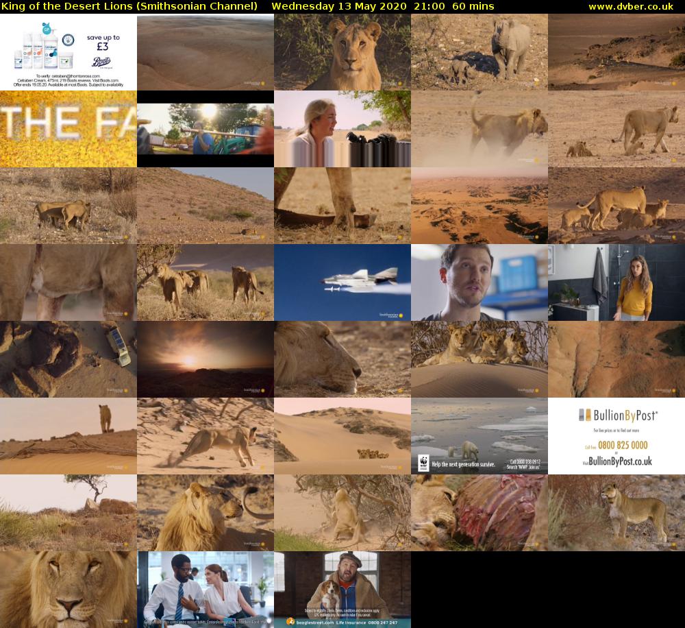 King of the Desert Lions (Smithsonian Channel) Wednesday 13 May 2020 21:00 - 22:00