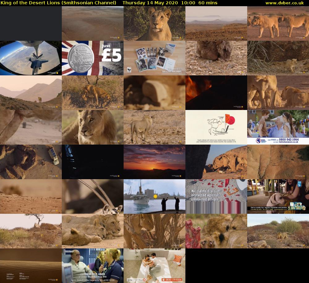 King of the Desert Lions (Smithsonian Channel) Thursday 14 May 2020 10:00 - 11:00