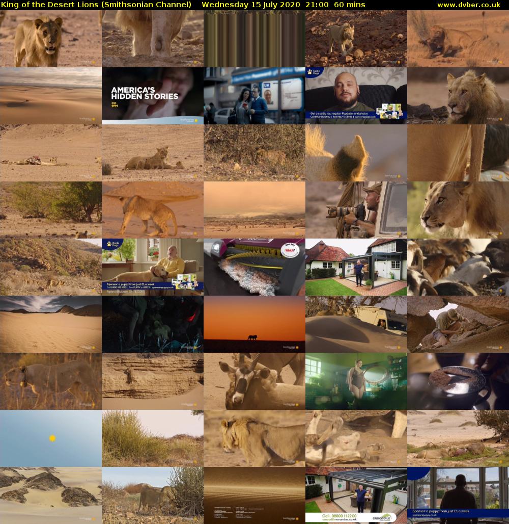 King of the Desert Lions (Smithsonian Channel) Wednesday 15 July 2020 21:00 - 22:00
