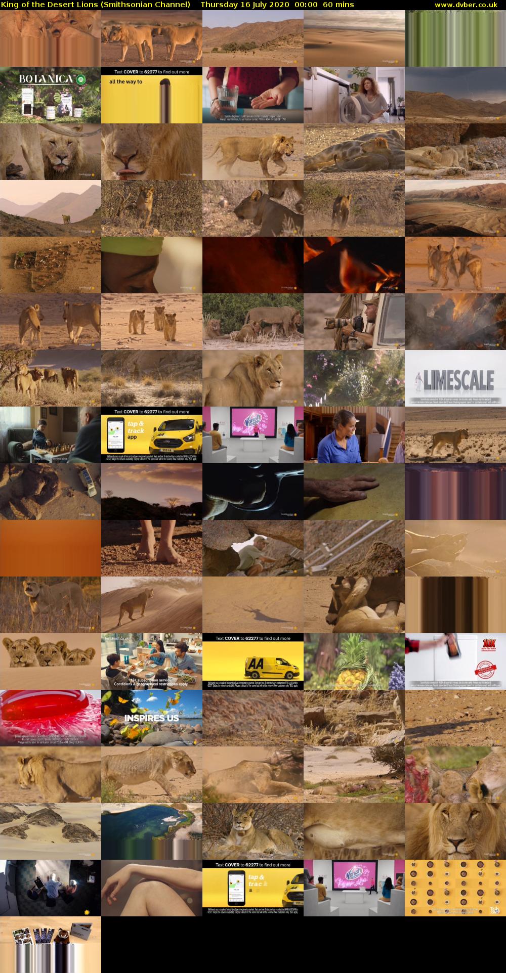 King of the Desert Lions (Smithsonian Channel) Thursday 16 July 2020 00:00 - 01:00
