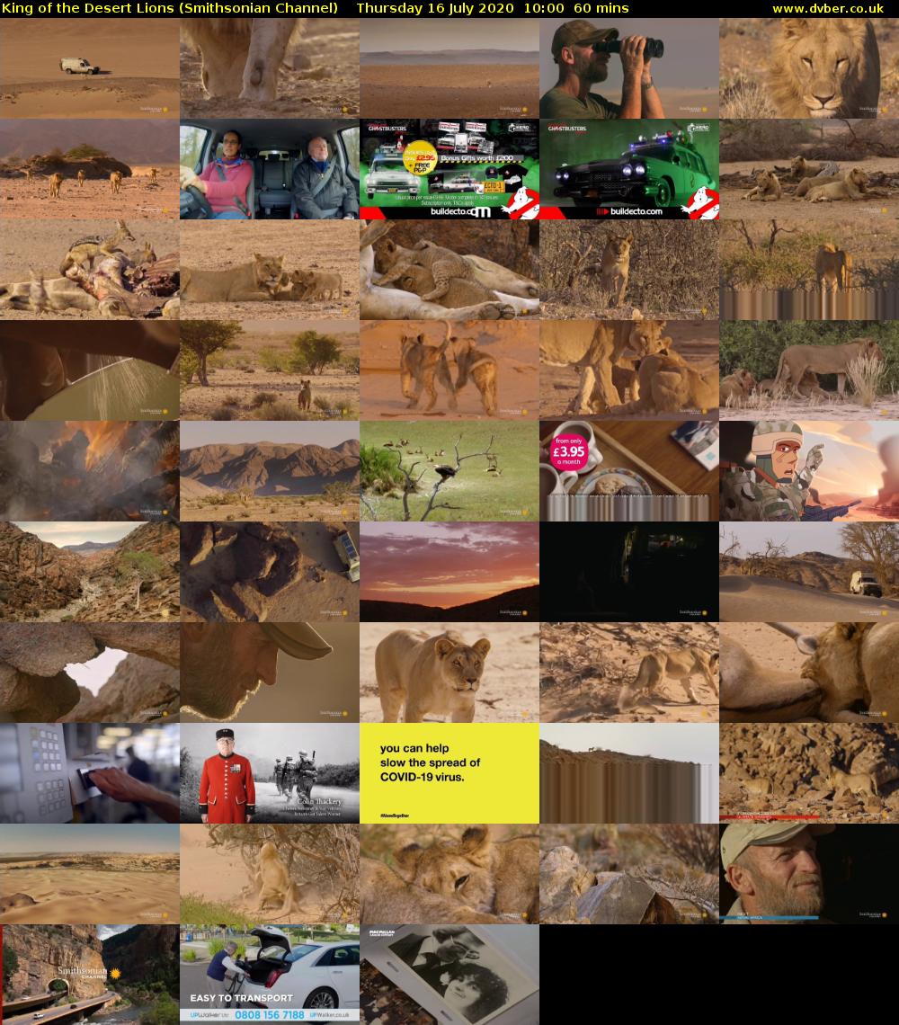 King of the Desert Lions (Smithsonian Channel) Thursday 16 July 2020 10:00 - 11:00