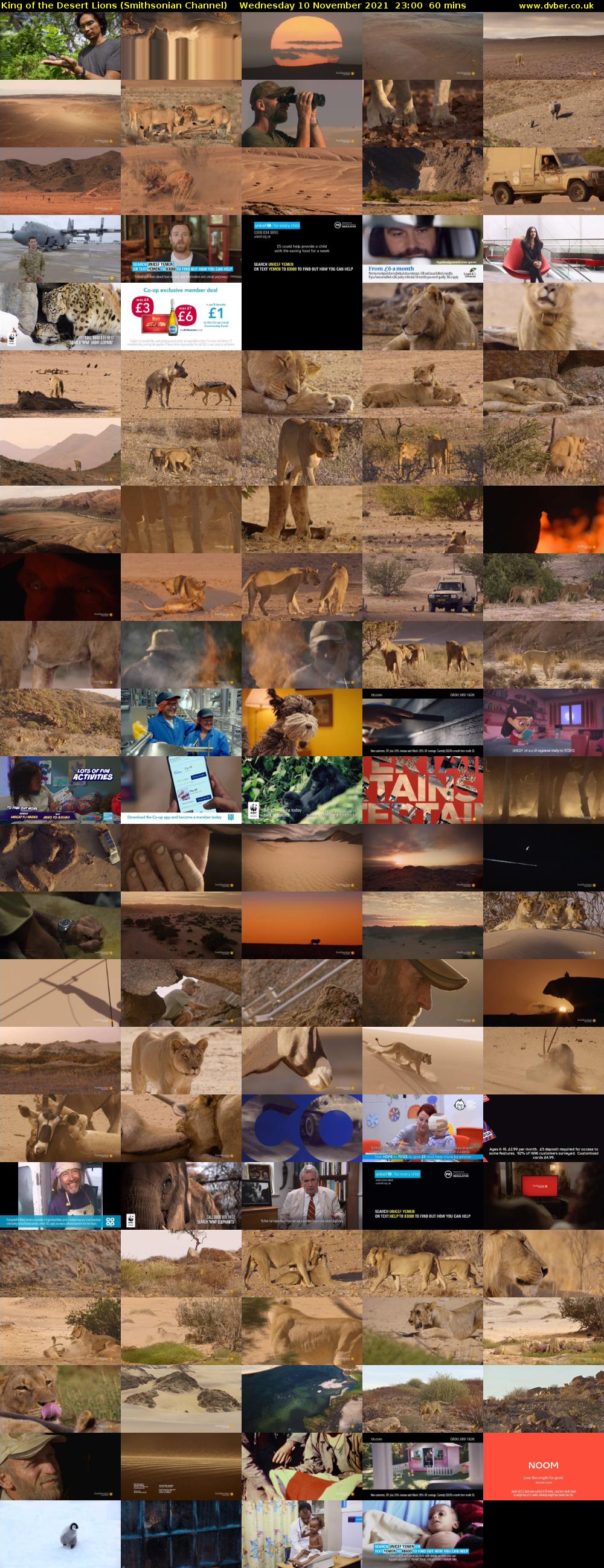 King of the Desert Lions (Smithsonian Channel) Wednesday 10 November 2021 23:00 - 00:00