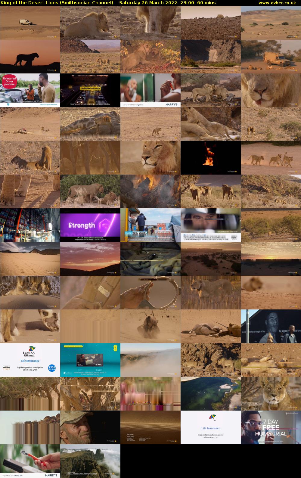 King of the Desert Lions (Smithsonian Channel) Saturday 26 March 2022 23:00 - 00:00