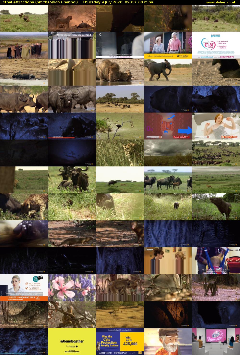 Lethal Attractions (Smithsonian Channel) Thursday 9 July 2020 09:00 - 10:00