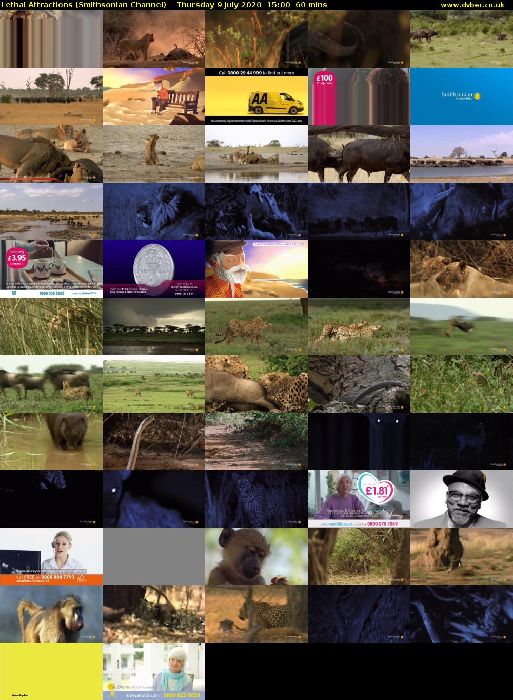 Lethal Attractions (Smithsonian Channel) Thursday 9 July 2020 15:00 - 16:00