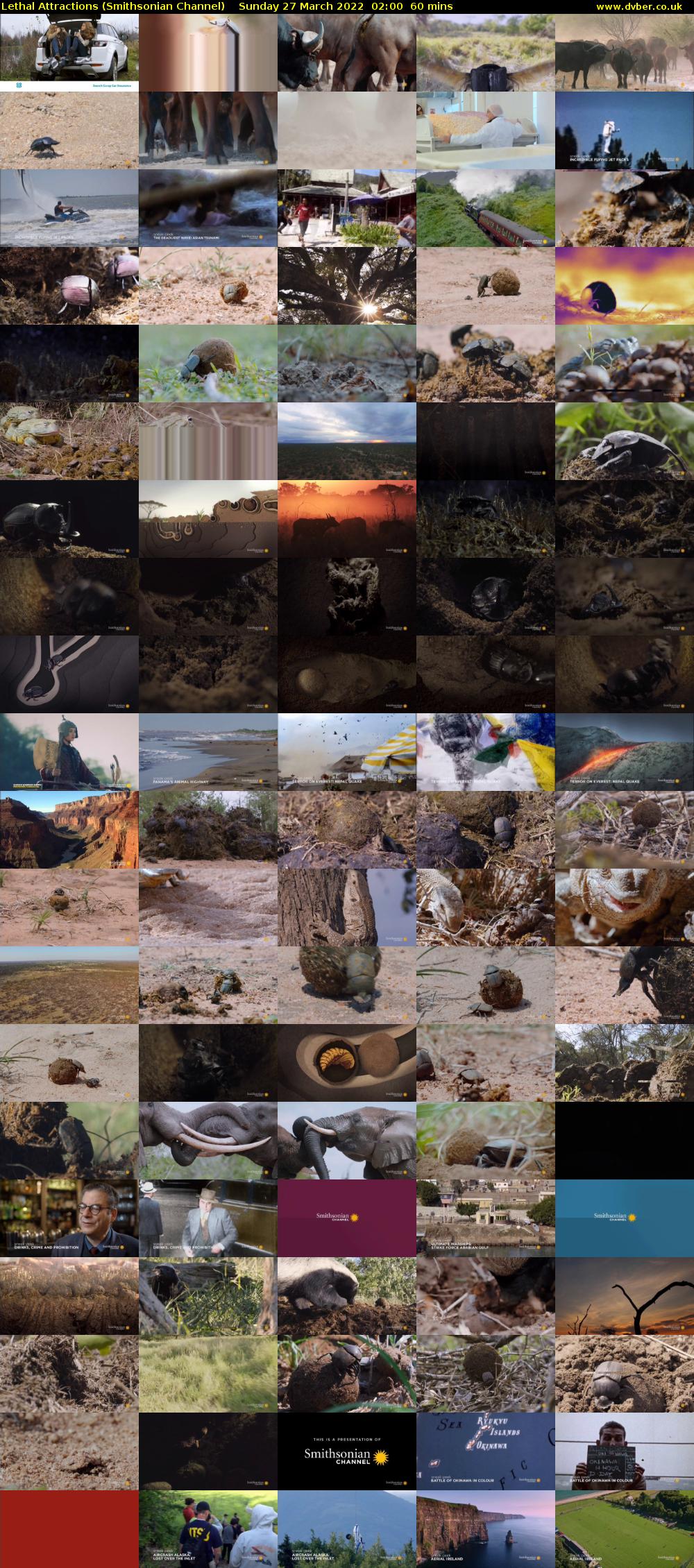 Lethal Attractions (Smithsonian Channel) Sunday 27 March 2022 02:00 - 03:00