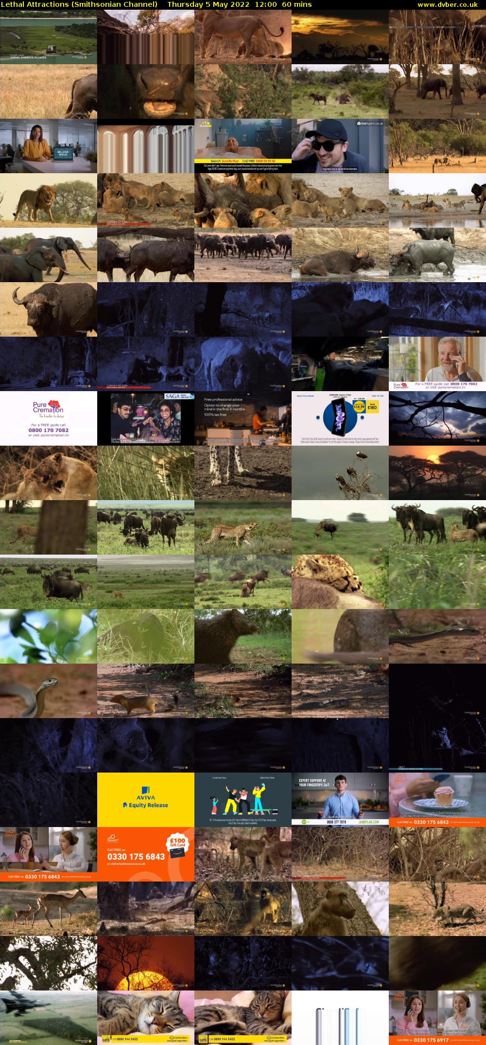 Lethal Attractions (Smithsonian Channel) Thursday 5 May 2022 12:00 - 13:00