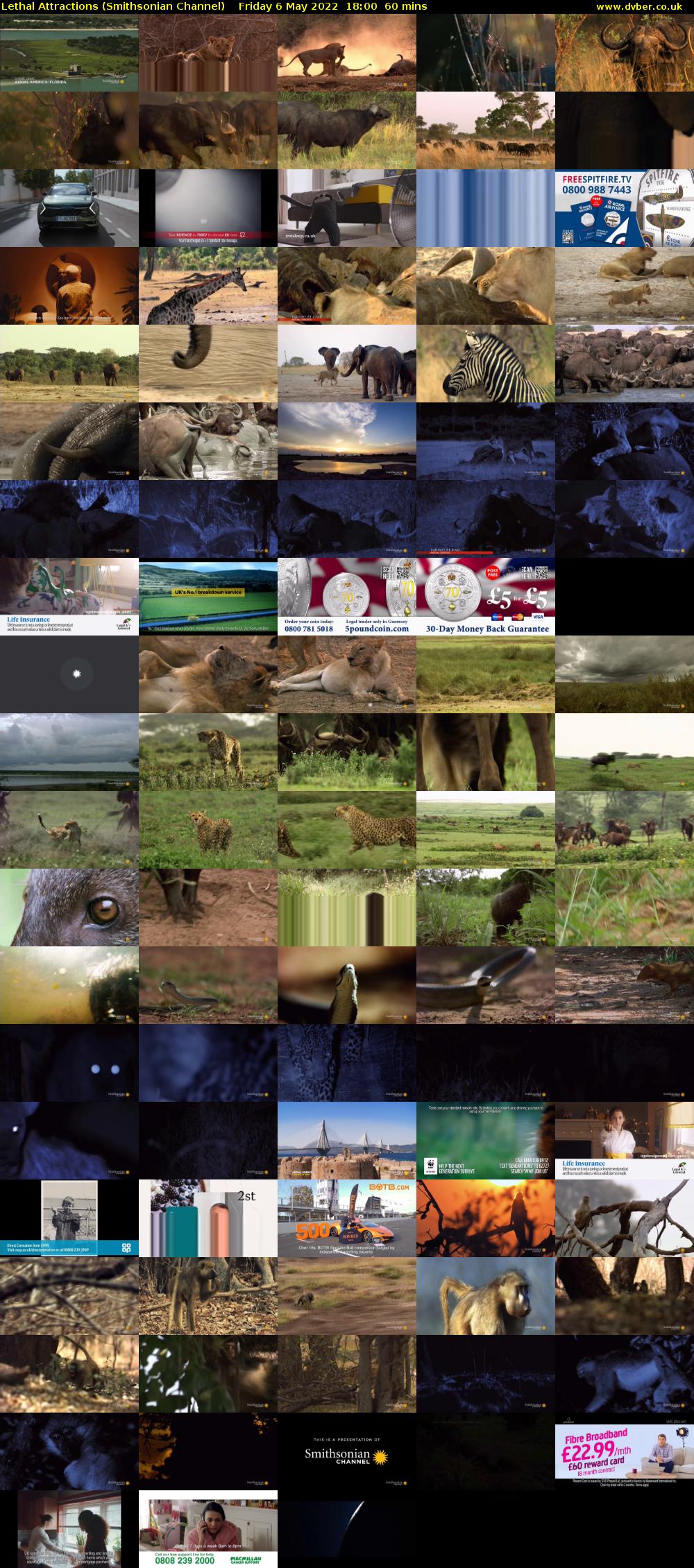 Lethal Attractions (Smithsonian Channel) Friday 6 May 2022 18:00 - 19:00