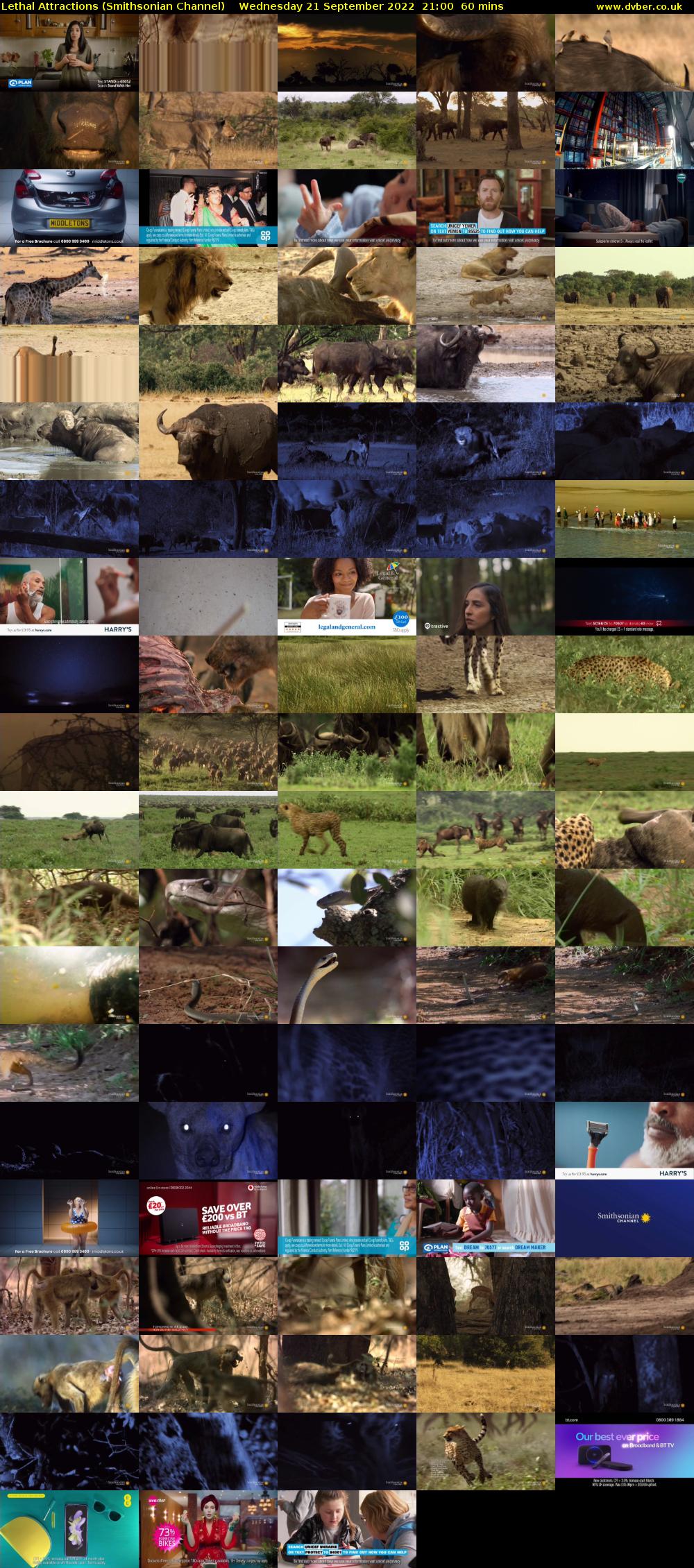 Lethal Attractions (Smithsonian Channel) Wednesday 21 September 2022 21:00 - 22:00