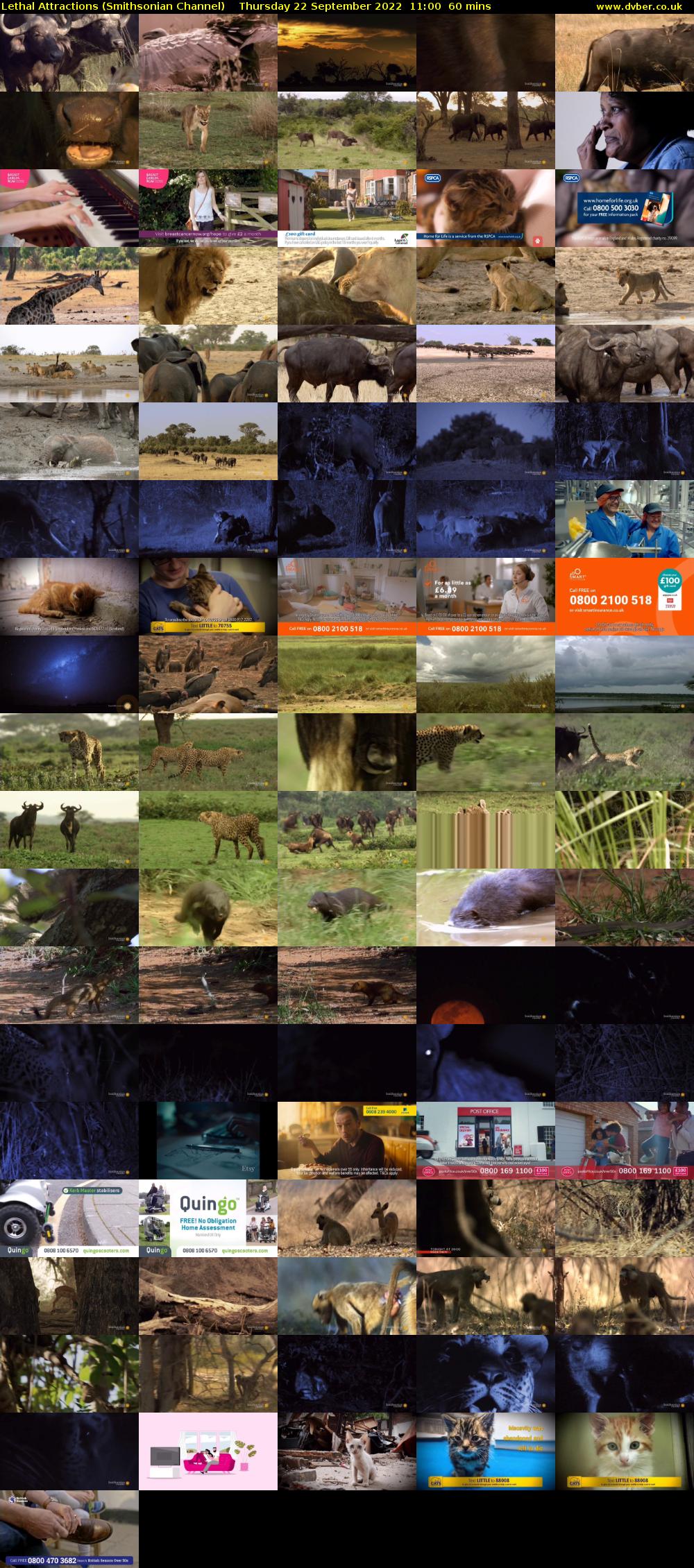 Lethal Attractions (Smithsonian Channel) Thursday 22 September 2022 11:00 - 12:00