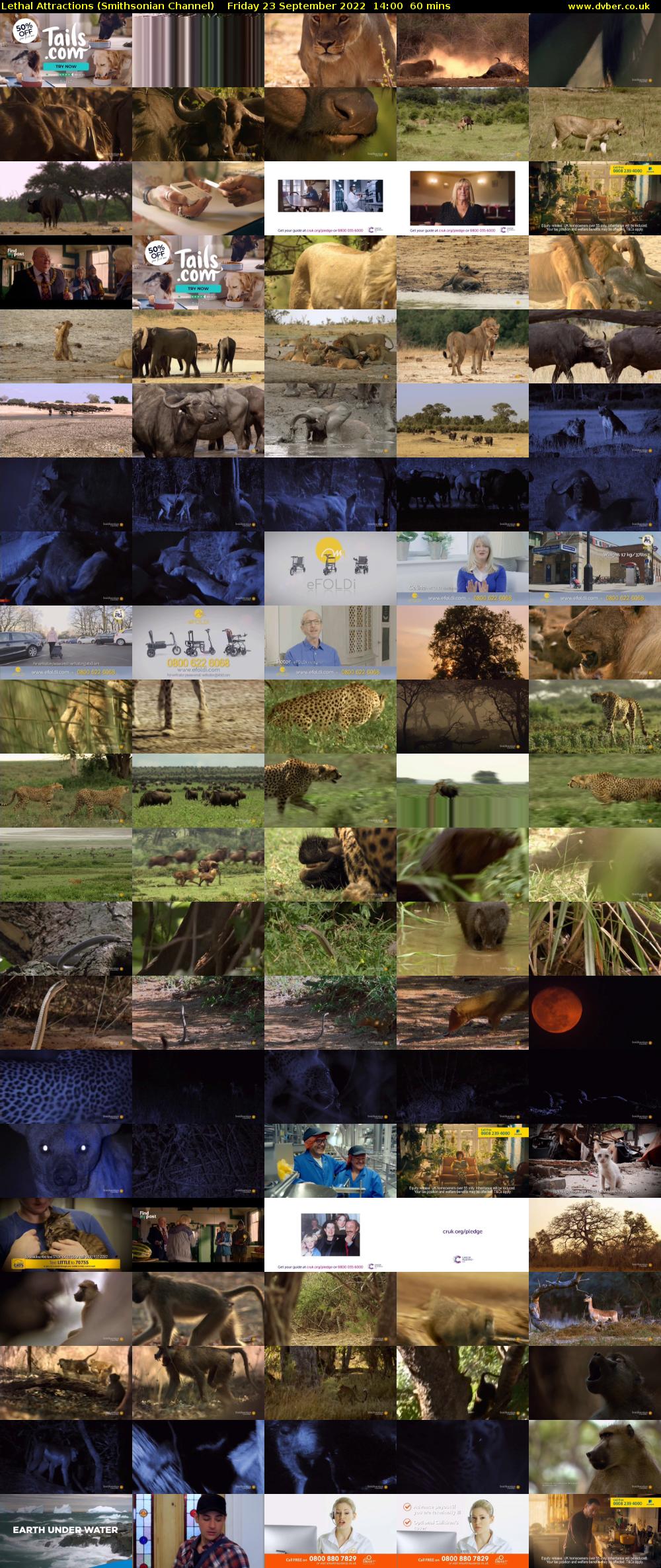 Lethal Attractions (Smithsonian Channel) Friday 23 September 2022 14:00 - 15:00