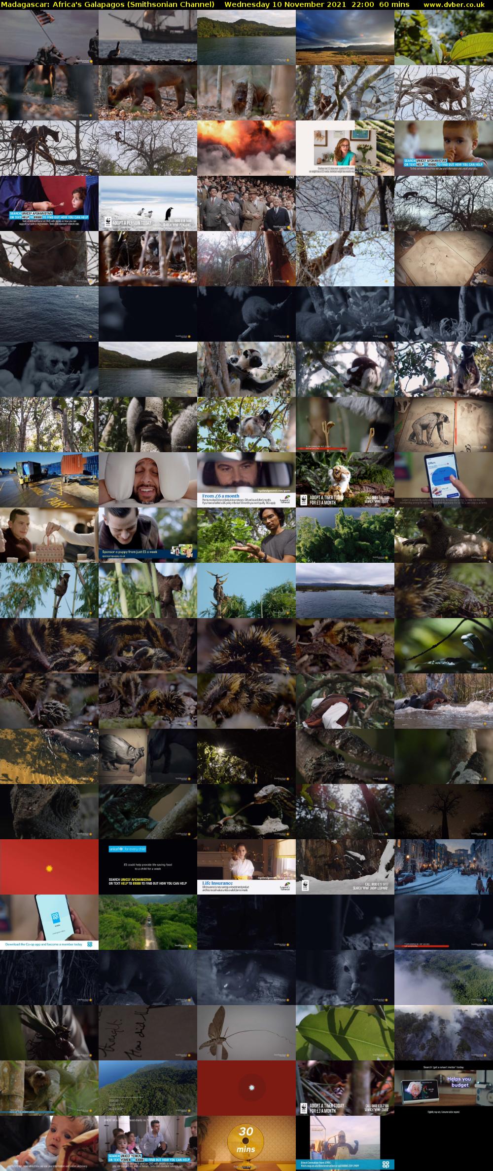 Madagascar: Africa's Galapagos (Smithsonian Channel) Wednesday 10 November 2021 22:00 - 23:00