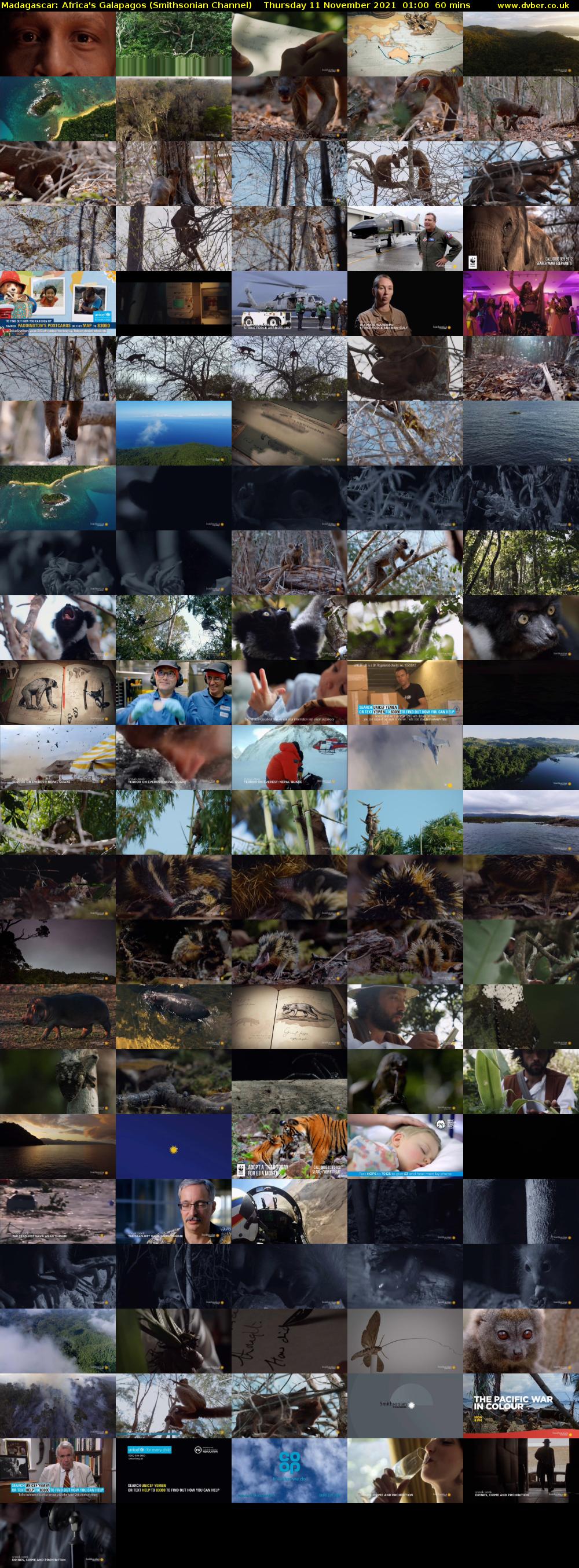 Madagascar: Africa's Galapagos (Smithsonian Channel) Thursday 11 November 2021 01:00 - 02:00